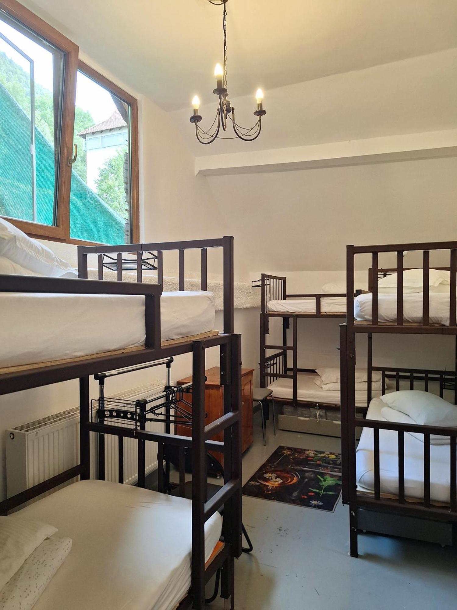 Downtown Hostel ブラショフ エクステリア 写真