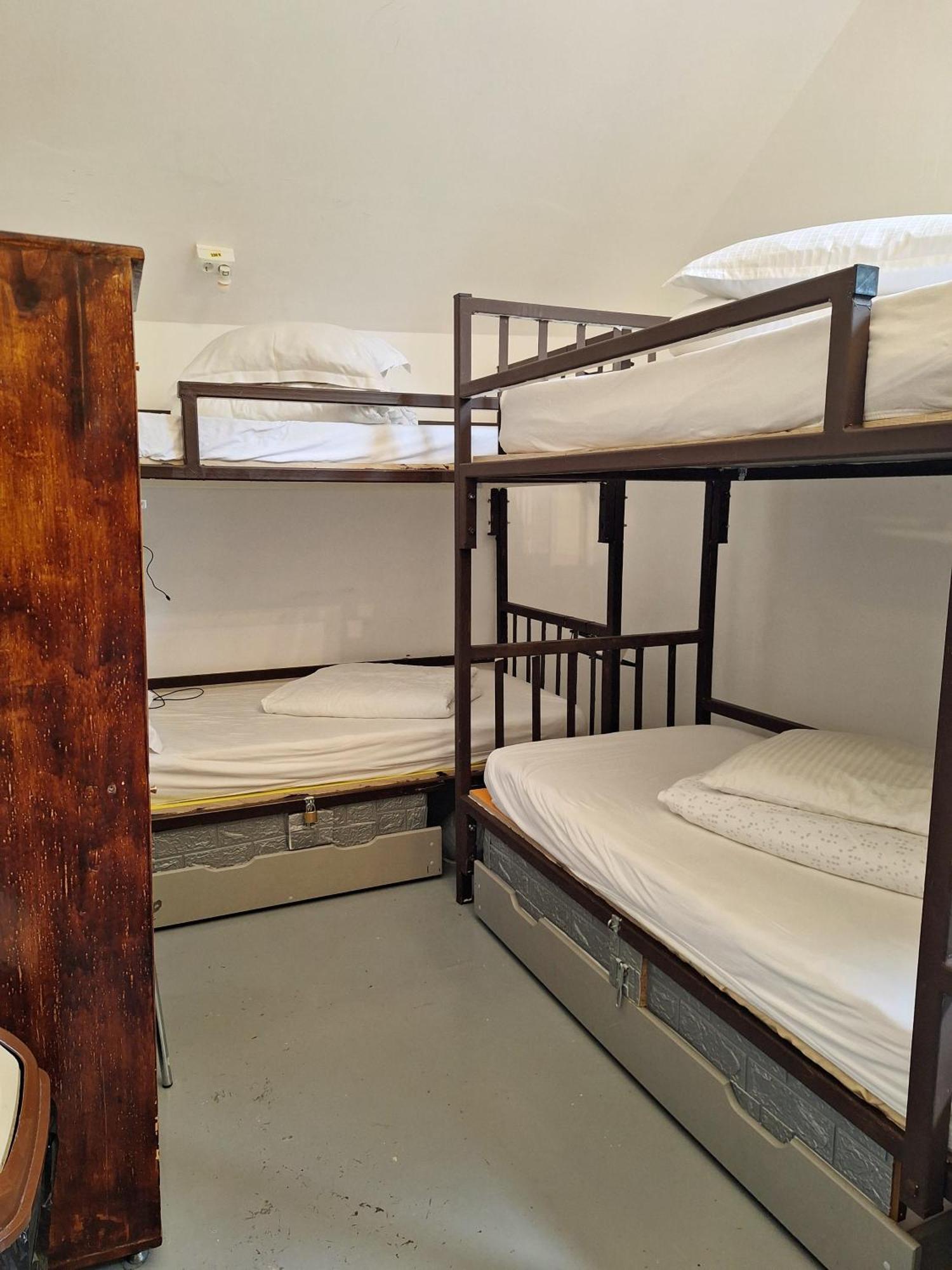 Downtown Hostel ブラショフ エクステリア 写真