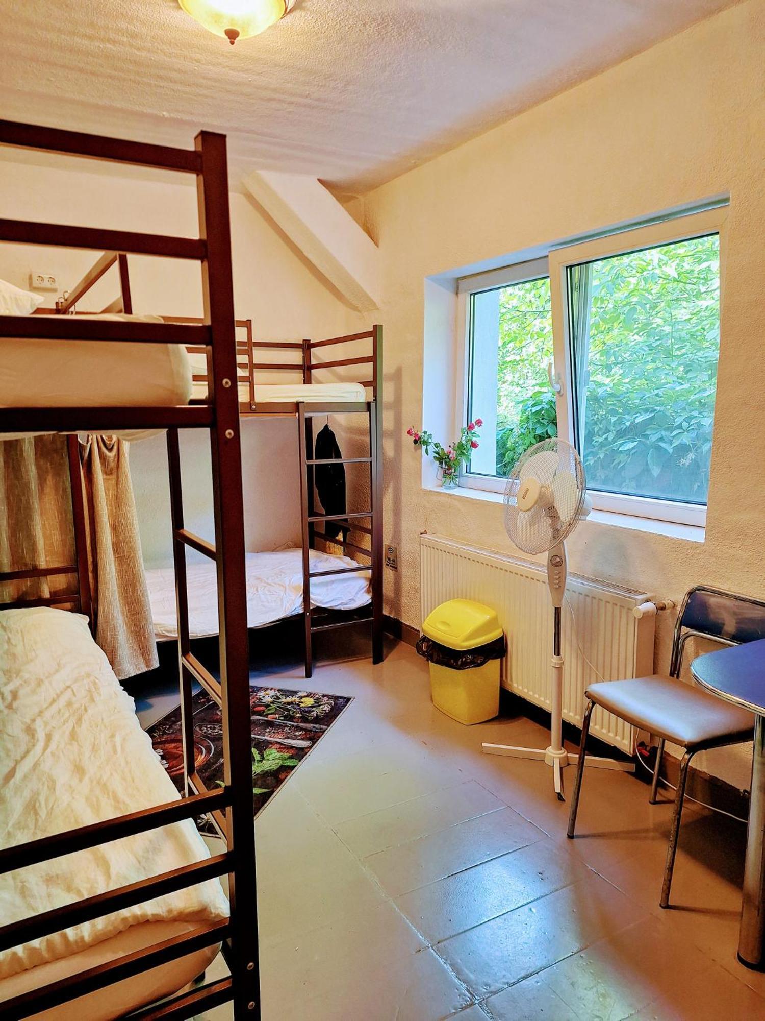 Downtown Hostel ブラショフ エクステリア 写真