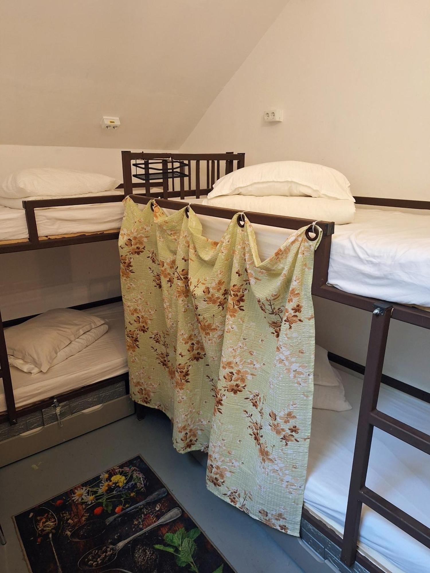 Downtown Hostel ブラショフ エクステリア 写真